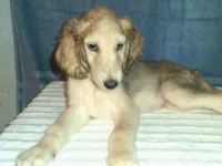 processed/7361545b-f1bd-45e3-8f21-d24db39f1e85/listing/3b6b7032-1433-4290-aac7-73451e734f9b/f2fe41fe-0d0f-40bb-9847-db773e337e80