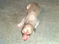 processed/7361545b-f1bd-45e3-8f21-d24db39f1e85/listing/5ff8c3bc-48a3-4ddf-a9c9-697c264d5b44/8af61672-3be9-4af0-9499-2f41234c57bf