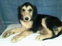 processed/7361545b-f1bd-45e3-8f21-d24db39f1e85/listing/84b3142a-3c18-449b-834d-e280381034a4/717e9b08-55c2-45c1-b1ac-6714853deceb