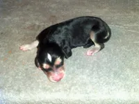 processed/7361545b-f1bd-45e3-8f21-d24db39f1e85/listing/84b3142a-3c18-449b-834d-e280381034a4/fd007591-131e-4161-94a9-67dec574115c