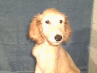 processed/7361545b-f1bd-45e3-8f21-d24db39f1e85/listing/e92f902f-3aad-4614-81e9-b1c5f6e93eb5/08237eba-23a9-4a8d-9ed4-3e7dc78f8356