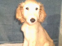 processed/7361545b-f1bd-45e3-8f21-d24db39f1e85/listing/e92f902f-3aad-4614-81e9-b1c5f6e93eb5/c24cd9bb-5ae8-4497-a8b0-c1827b9d662c