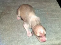 processed/7361545b-f1bd-45e3-8f21-d24db39f1e85/listing/e92f902f-3aad-4614-81e9-b1c5f6e93eb5/e56ccd82-65e6-4d46-9372-d2c8a38f4de2