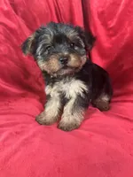 processed/736631a7-b049-4a21-baeb-781eea51105a/listing/9af6db88-b01f-4c25-a7f0-b2373c3b753f/05a8c01c-8dcb-4abb-9e59-90e639e34616