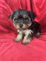 processed/736631a7-b049-4a21-baeb-781eea51105a/listing/9af6db88-b01f-4c25-a7f0-b2373c3b753f/1e9d8493-25d2-4143-8156-388d9e92ebe8