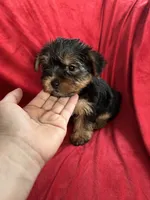 processed/736631a7-b049-4a21-baeb-781eea51105a/listing/9af6db88-b01f-4c25-a7f0-b2373c3b753f/2983e80f-c1f3-45f5-bb07-148f45239ce5