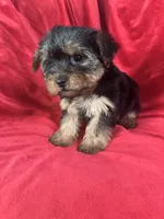 processed/736631a7-b049-4a21-baeb-781eea51105a/listing/9af6db88-b01f-4c25-a7f0-b2373c3b753f/2c4acfe6-808a-4894-a32b-d9d96893de0d