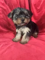 processed/736631a7-b049-4a21-baeb-781eea51105a/listing/9af6db88-b01f-4c25-a7f0-b2373c3b753f/70dfbf45-ca6a-4098-a69b-1575c5427b08