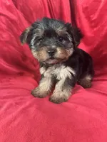 processed/736631a7-b049-4a21-baeb-781eea51105a/listing/9af6db88-b01f-4c25-a7f0-b2373c3b753f/7a3ffb6f-e356-4bae-82ef-b8f20bf19aee