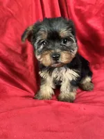 processed/736631a7-b049-4a21-baeb-781eea51105a/listing/9af6db88-b01f-4c25-a7f0-b2373c3b753f/819c30b9-4caa-4bc8-a58f-fdbba72d66c9