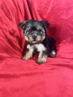 processed/736631a7-b049-4a21-baeb-781eea51105a/listing/9af6db88-b01f-4c25-a7f0-b2373c3b753f/c1508e6f-da32-4296-8c9d-5b55a3fe3631