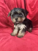 processed/736631a7-b049-4a21-baeb-781eea51105a/listing/9af6db88-b01f-4c25-a7f0-b2373c3b753f/e21f2542-571c-4f74-89a7-f1ae0e28ea70