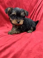 processed/736631a7-b049-4a21-baeb-781eea51105a/listing/cf47475b-c626-412c-9836-01e21d588d25/34eac5c9-a1e2-4082-8f5c-c8a5578dbc44