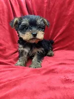 processed/736631a7-b049-4a21-baeb-781eea51105a/listing/cf47475b-c626-412c-9836-01e21d588d25/44945c39-5ddc-424a-9d6f-df94a71bbeb7