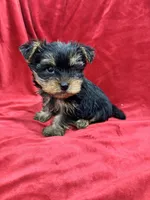 processed/736631a7-b049-4a21-baeb-781eea51105a/listing/cf47475b-c626-412c-9836-01e21d588d25/7ad846e8-a88c-45e7-b725-745c069478f3