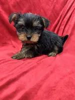 processed/736631a7-b049-4a21-baeb-781eea51105a/listing/cf47475b-c626-412c-9836-01e21d588d25/892f2158-6f4c-4d5b-9a84-f9852d098c2a