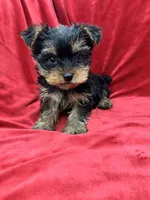 processed/736631a7-b049-4a21-baeb-781eea51105a/listing/cf47475b-c626-412c-9836-01e21d588d25/897f56dd-7ce1-4cab-b332-d4c76be6e8b3