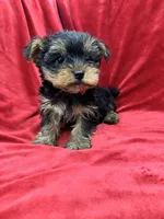 processed/736631a7-b049-4a21-baeb-781eea51105a/listing/cf47475b-c626-412c-9836-01e21d588d25/98558779-82db-411f-807e-f382b2e53d3f