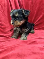 processed/736631a7-b049-4a21-baeb-781eea51105a/listing/cf47475b-c626-412c-9836-01e21d588d25/b6c3c625-aca2-465c-a05e-9a80cfb814de