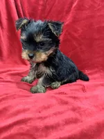 processed/736631a7-b049-4a21-baeb-781eea51105a/listing/cf47475b-c626-412c-9836-01e21d588d25/e4c2d662-0598-40a9-af92-0d43ad4c7aeb