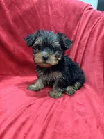 processed/736631a7-b049-4a21-baeb-781eea51105a/listing/dfc113e4-db45-433a-8f3f-4a9548049827/03a1b91d-dfc3-49e0-913c-8bfd6b93f6ec