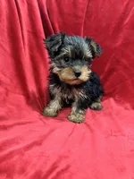 processed/736631a7-b049-4a21-baeb-781eea51105a/listing/dfc113e4-db45-433a-8f3f-4a9548049827/1d04fc0b-3665-47d4-9093-4fe19fad2ba6