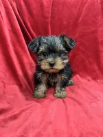 processed/736631a7-b049-4a21-baeb-781eea51105a/listing/dfc113e4-db45-433a-8f3f-4a9548049827/42f68bb4-7f68-4466-b364-26fe1a639dab