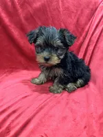 processed/736631a7-b049-4a21-baeb-781eea51105a/listing/dfc113e4-db45-433a-8f3f-4a9548049827/8fbc39b7-1581-4bcd-bee1-c64fde6ab592