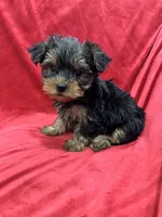 processed/736631a7-b049-4a21-baeb-781eea51105a/listing/dfc113e4-db45-433a-8f3f-4a9548049827/a070e242-e9ac-4a2a-a39f-002e6690e5cc