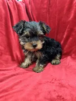 processed/736631a7-b049-4a21-baeb-781eea51105a/listing/dfc113e4-db45-433a-8f3f-4a9548049827/f97c3415-0223-42d3-8324-179337b92338