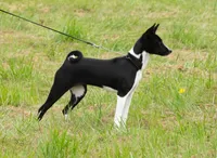 processed/7368a9e9-a79a-42c1-8daf-c4ed3147cb4f/listing/8940acee-f79f-459a-8f16-1970a1087b9c/01da7729-aa0e-4815-b79b-bbe28ff132a2