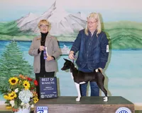 processed/7368a9e9-a79a-42c1-8daf-c4ed3147cb4f/listing/8940acee-f79f-459a-8f16-1970a1087b9c/4a23b47a-da25-4cd0-abc5-0a9bc859fd0e