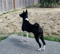 processed/7368a9e9-a79a-42c1-8daf-c4ed3147cb4f/listing/8940acee-f79f-459a-8f16-1970a1087b9c/6e81cf32-0bfe-431a-a438-90f919b966a4