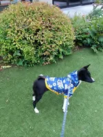 processed/7368a9e9-a79a-42c1-8daf-c4ed3147cb4f/listing/8940acee-f79f-459a-8f16-1970a1087b9c/d1b186b8-1277-483e-9ab5-1fc31ac62293