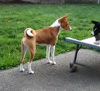 processed/7368a9e9-a79a-42c1-8daf-c4ed3147cb4f/listing/bfb53eb4-09bd-4d58-b258-8c12b2cec765/3394bde9-8a73-408a-b716-00b09dc5e79c