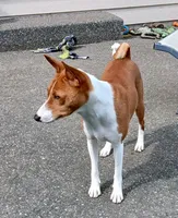 processed/7368a9e9-a79a-42c1-8daf-c4ed3147cb4f/listing/bfb53eb4-09bd-4d58-b258-8c12b2cec765/6a0c323c-a1d6-4971-b53c-8a282eaf72f0