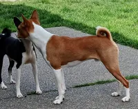 processed/7368a9e9-a79a-42c1-8daf-c4ed3147cb4f/listing/bfb53eb4-09bd-4d58-b258-8c12b2cec765/ca73512d-afdf-45ac-85d1-aaf3fdf12bd2