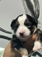 processed/73819afb-aa93-43a7-bed8-ff0d7b30175c/listing/1f338550-eef9-4ae4-9363-b697542ed3d9/a9cf0683-274a-4897-98a4-0f53344bcbd4