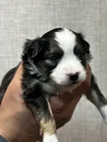 processed/73819afb-aa93-43a7-bed8-ff0d7b30175c/listing/1f338550-eef9-4ae4-9363-b697542ed3d9/ef5f6ff2-3eef-4b27-8c40-dd4416a6ebae