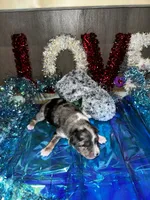 processed/73819afb-aa93-43a7-bed8-ff0d7b30175c/listing/837b0c9a-2b2e-46e0-b1d4-d0832a7b67c8/43ca843c-5cdf-4efb-b30c-f2d4a19beb14