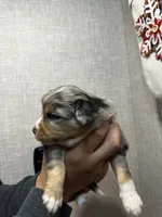 processed/73819afb-aa93-43a7-bed8-ff0d7b30175c/listing/837b0c9a-2b2e-46e0-b1d4-d0832a7b67c8/5b2eccc2-67e3-4582-9ccc-723bf280ca40