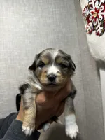 processed/73819afb-aa93-43a7-bed8-ff0d7b30175c/listing/837b0c9a-2b2e-46e0-b1d4-d0832a7b67c8/76f8875b-7c40-4d6e-ba05-189dd840961b