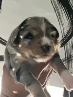 processed/73819afb-aa93-43a7-bed8-ff0d7b30175c/listing/837b0c9a-2b2e-46e0-b1d4-d0832a7b67c8/8bd4c851-b596-41e1-bbde-0b9fc2ec9d83