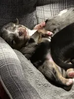 processed/73819afb-aa93-43a7-bed8-ff0d7b30175c/listing/837b0c9a-2b2e-46e0-b1d4-d0832a7b67c8/d42dc2f8-5272-4a95-9548-f77a51271d33