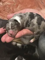 processed/73819afb-aa93-43a7-bed8-ff0d7b30175c/listing/837b0c9a-2b2e-46e0-b1d4-d0832a7b67c8/debced5f-d171-448c-a7e3-6a9595dd3328