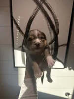 processed/73819afb-aa93-43a7-bed8-ff0d7b30175c/listing/837b0c9a-2b2e-46e0-b1d4-d0832a7b67c8/e97a0336-5234-4d9c-8c1e-7e067d5dbab6