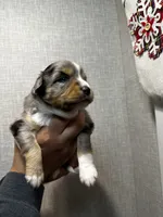 processed/73819afb-aa93-43a7-bed8-ff0d7b30175c/listing/837b0c9a-2b2e-46e0-b1d4-d0832a7b67c8/f0e3b9c4-a8ca-4e72-af10-d1bb54885c8b