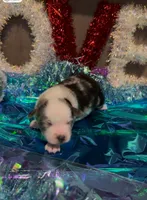 processed/73819afb-aa93-43a7-bed8-ff0d7b30175c/listing/f95aa676-bb14-4da7-be51-d7d3b9425186/255e9141-61f9-443d-9ce7-fb71a15922e8