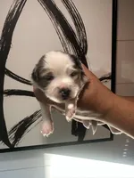 processed/73819afb-aa93-43a7-bed8-ff0d7b30175c/listing/f95aa676-bb14-4da7-be51-d7d3b9425186/43649a4d-b52b-4f75-a7c7-e8a224819fdf