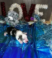 processed/73819afb-aa93-43a7-bed8-ff0d7b30175c/listing/f95aa676-bb14-4da7-be51-d7d3b9425186/6bf2a682-7eff-4bd0-ae26-15bf425f579f